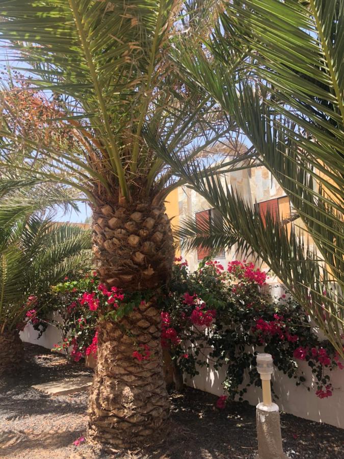 Apartamento Smile Complex Amaya Fuerteventura Costa De Antigua Ngoại thất bức ảnh